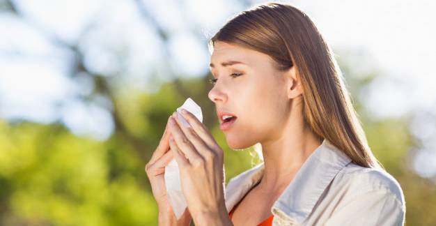Tanácsos-e a parlagfű allergiát parlagfűvel kezelni?